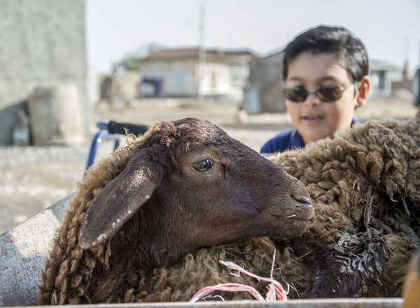 Ҷашнҳои рӯзи 31 июл дар Тоҷикистон ва ҷаҳон Ҷашнҳои рӯзи 31 июл дар Тоҷикистон ва ҷаҳон - Sputnik Тоҷикистон