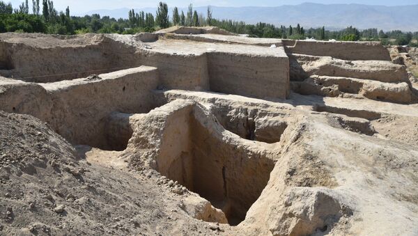Раскопки древнего городища Пенджакент в Таджикистане  - Sputnik Тоҷикистон
