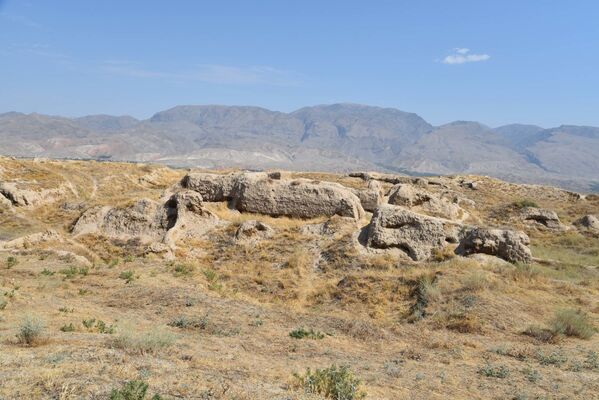 Раскопки древнего городища Пенджикент в Таджикистане  - Sputnik Таджикистан