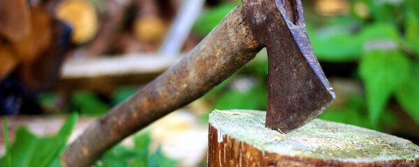 Топор, архивное фото - Sputnik Тоҷикистон