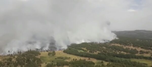 Тушение лесных пожаров в Казахстане - Sputnik Таджикистан