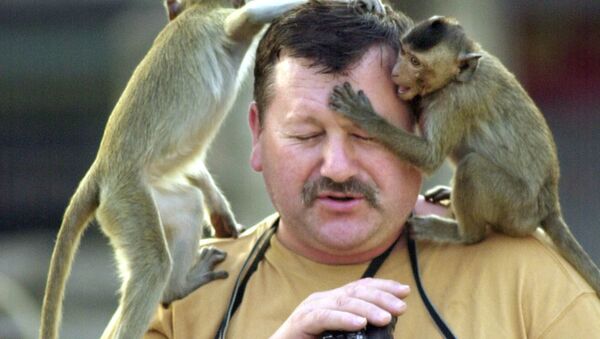 Турист с обезьянками, архивное фото - Sputnik Таджикистан