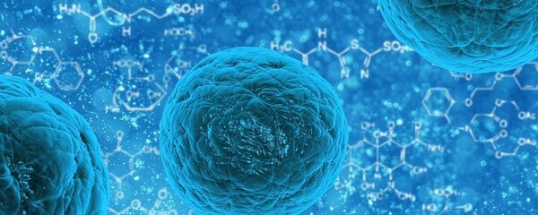 Бактерии под микроскопом - Sputnik Таджикистан