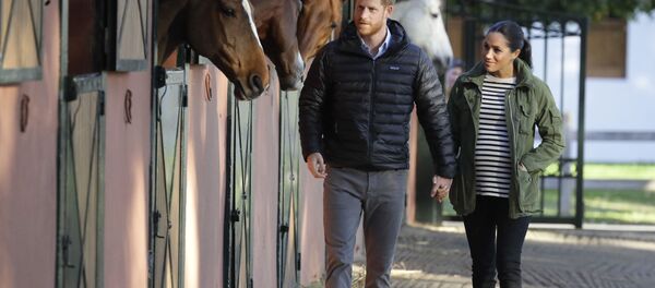 Принц Великобритании Гарри и Меган, герцогиня Сассексская, проходят мимо лошадей - Sputnik Таджикистан
