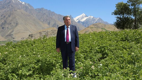 Президент Таджикистана Эмомали Рахмон в Горно-Матчинском районе - Sputnik Тоҷикистон
