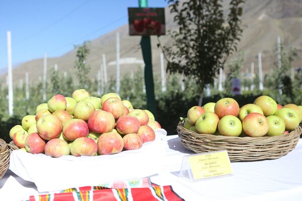 Какой сегодня праздник в Таджикистане и мире: 21 октября - Sputnik Таджикистан