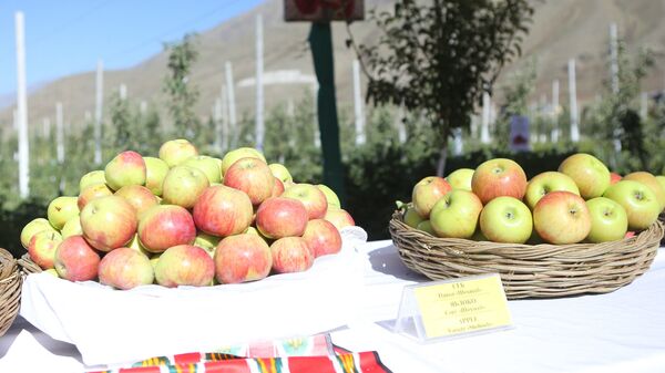Эмомали Рахмон посетил яблоневый сад в Горно-Матчинском районе - Sputnik Таджикистан