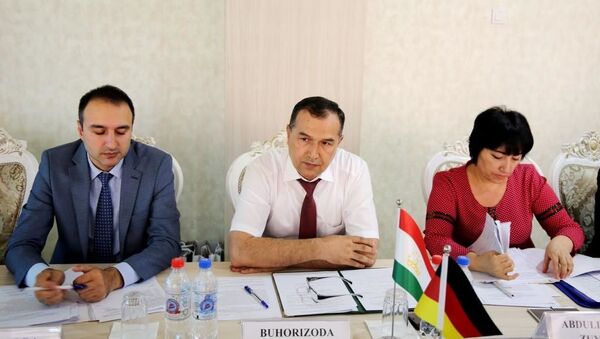 Представители МВД Таджикистана и Германии обсудили проект о реадмиссии - Sputnik Тоҷикистон