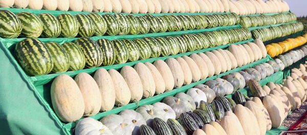 Эмомали Рахмон посетил дехканские хозяйства Джурабек Яхтан и Ходжи Абдувариса Деваштичского района - Sputnik Тоҷикистон