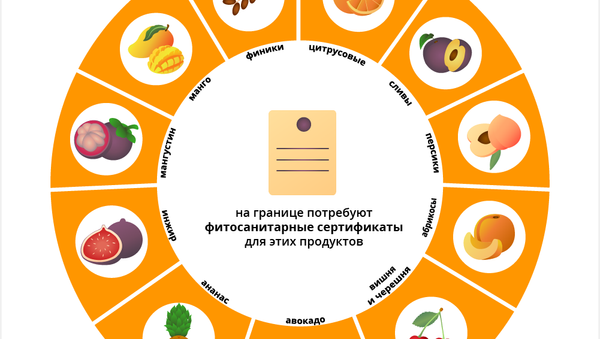 Фрукты, цветы и овощи: сколько можно провезти в Россию - Sputnik Таджикистан