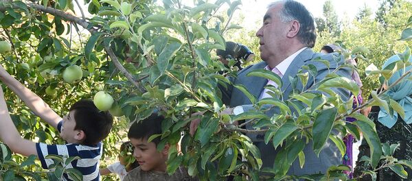 Президент Таджикистана Эмомали Рахмон посетил национальный парк Вахдат в Бободжон Гафуровском районе Согдийской области - Sputnik Таджикистан