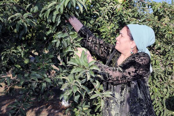 Мевачинии Раҳмон ҳамроҳи ҳамсар ва фарзандонаш дар Боғи Ваҳдат - акс - Sputnik Тоҷикистон