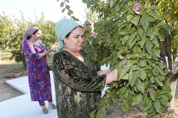 Мевачинии Раҳмон ҳамроҳи ҳамсар ва фарзандонаш дар Боғи Ваҳдат - акс - Sputnik Тоҷикистон