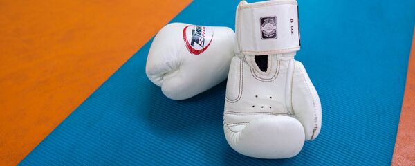Боксерские перчатки, архивное фото - Sputnik Тоҷикистон