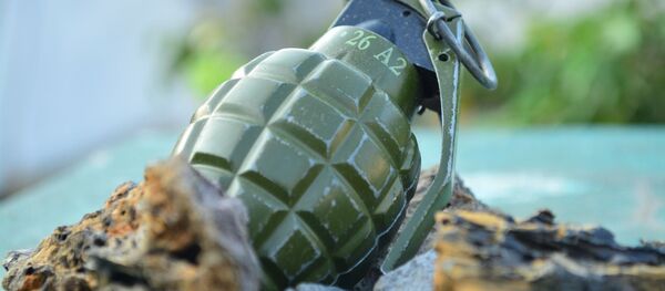 Граната, архивное фото Граната, архивное фото - Sputnik Таджикистан