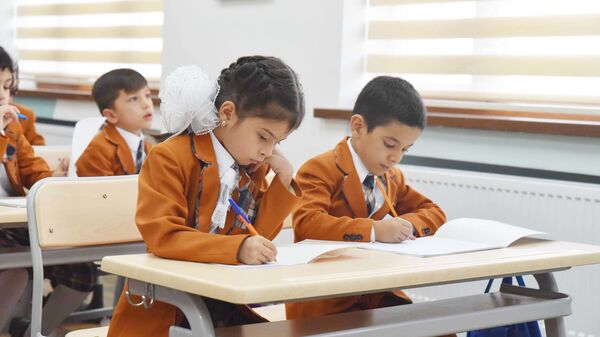 Школьники на уроке, архивное фото - Sputnik Таджикистан