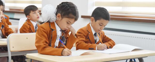 Школьники на уроке, архивное фото Школьники на уроке, архивное фото - Sputnik Таджикистан