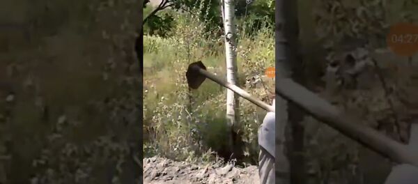 Конфликт на Таджикско-Кыргызской границе Конфликт на Таджикско-Кыргызской границе - Sputnik Таджикистан