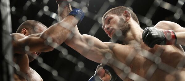 Открытая тренировка Хабиба и Пуарье Открытая тренировка Хабиба и Пуарье - Sputnik Тоҷикистон