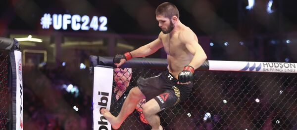 Хабиб Нурмагомедов выпрыгивает из октагона после победы над Пуарье Хабиб Нурмагомедов выпрыгивает из октагона после победы над Пуарье - Sputnik Таджикистан