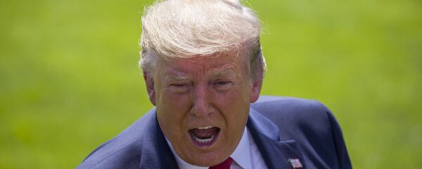 Президент Дональд Трамп - Sputnik Таджикистан