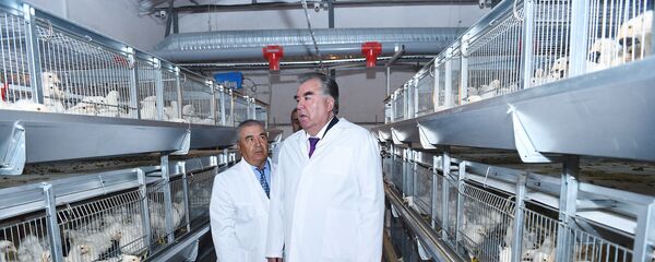 Открытие птицефабрики в городе Кулябе Открытие птицефабрики в городе Кулябе - Sputnik Таджикистан