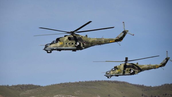 Ударные вертолеты Ми-24 уничтожили бандформирование на учениях  в горах Таджикистана - Sputnik Таджикистан