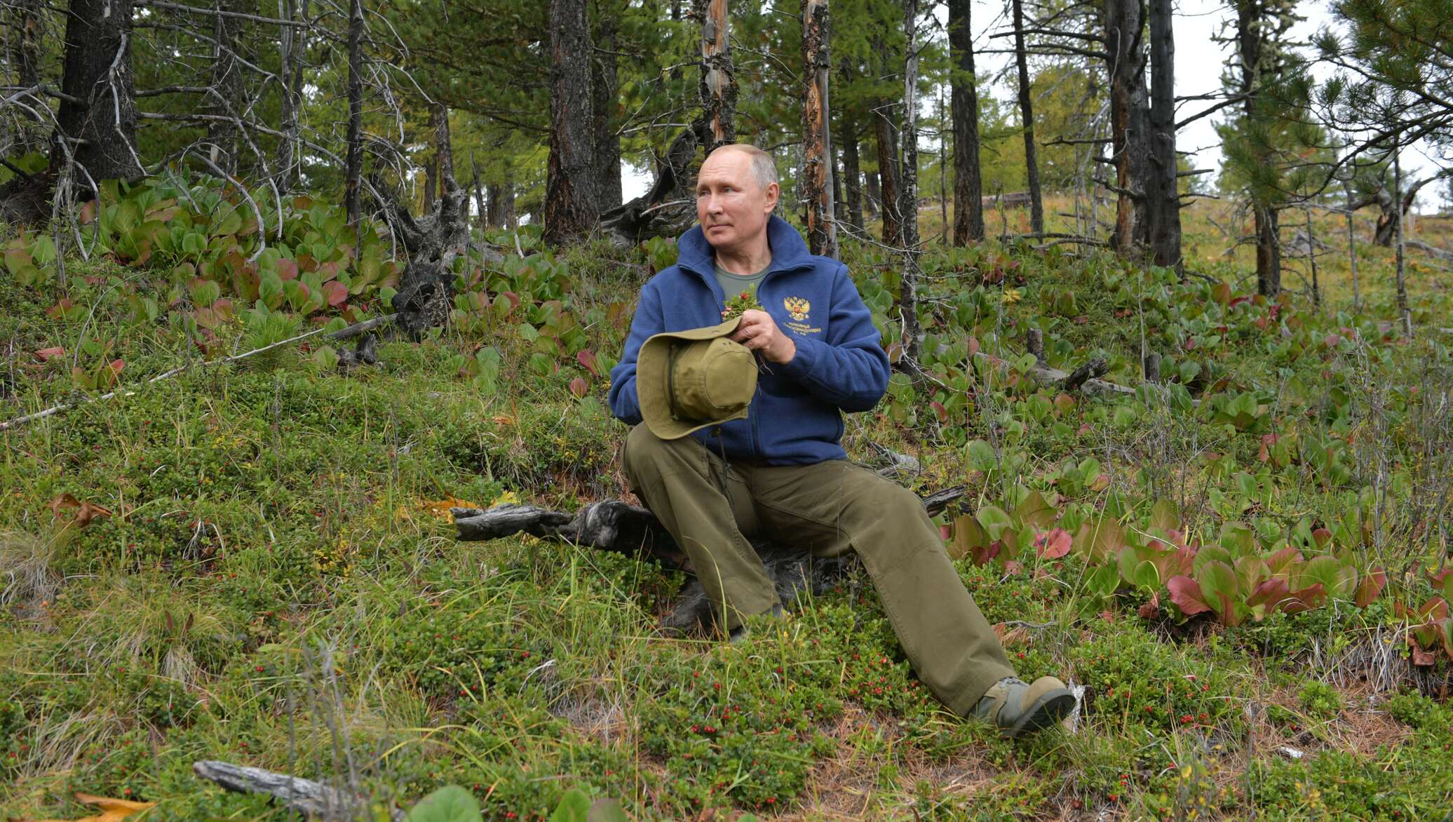 Почему у путина не растет борода