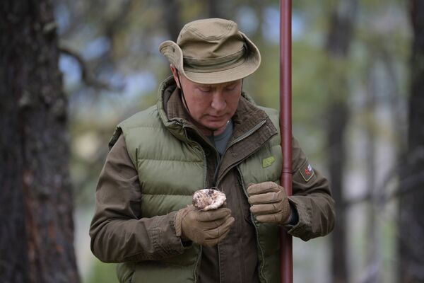 Президент РФ Владимир Путин во время прогулки в тайге - Sputnik Таджикистан