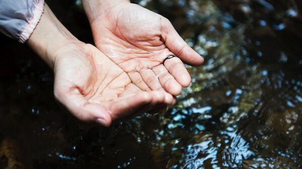 Мытье рук в чистой воде - Sputnik Таджикистан