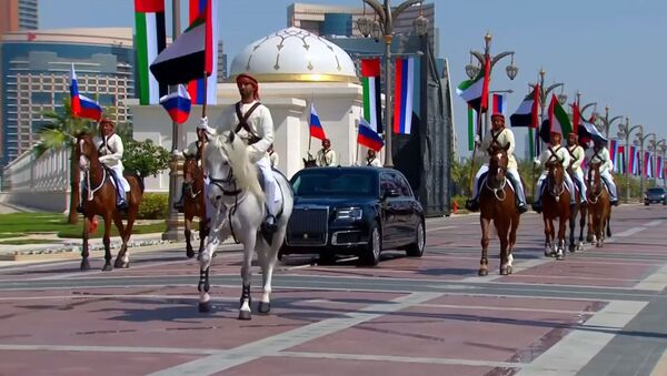 Арабские истребители нарисовали российский флаг в небе над ОАЭ: встреча Путина - Sputnik Таджикистан