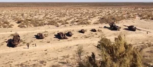 Пастбища, леса и инновации: как мир собирается спасать Приаралье Пастбища, леса и инновации: как мир собирается спасать Приаралье - Sputnik Таджикистан