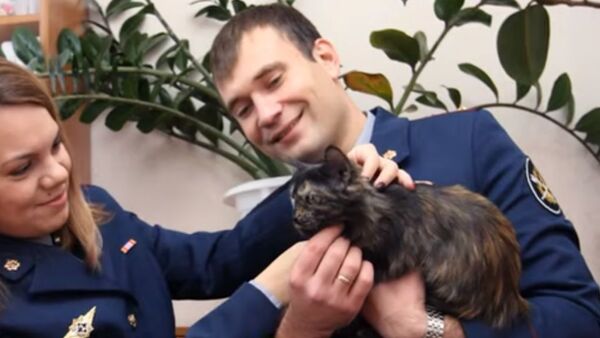 Полиция поймала кошку-наркокурьера на задании - Sputnik Таджикистан