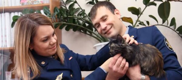 Полиция поймала кошку-наркокурьера на задании - Sputnik Таджикистан