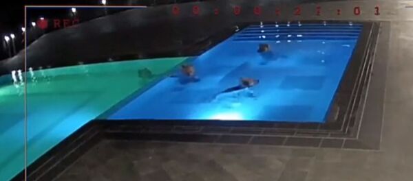 Медведи пробрались в SPA-салон и искупались в бассейне Медведи пробрались в SPA-салон и искупались в бассейне - Sputnik Таджикистан