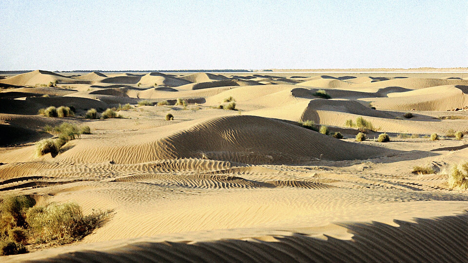 Пески пустыни Кызылкум - Sputnik Таджикистан, 1920, 26.07.2022