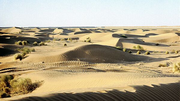 Пески пустыни Кызылкум - Sputnik Таджикистан