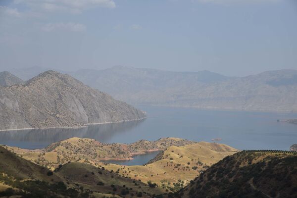 Ҷашнҳои рӯзи 15 декабр дар Тоҷикистон ва ҷаҳон  - Sputnik Тоҷикистон