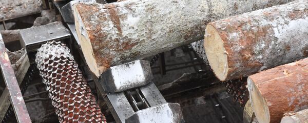 Пилорама, обработка дерева  - Sputnik Тоҷикистон