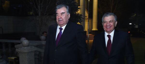 Эмомалӣ Раҳмон, раисиҷумҳури Тоҷикистон ва Шавкат Мирзиёев, раисиҷумҳури Узбакистон - Sputnik Тоҷикистон