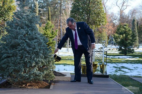 Главы государств Центральной Азии высадили саженцы деревьев на Аллее почетных гостей в резиденции Куксарой - Sputnik Таджикистан