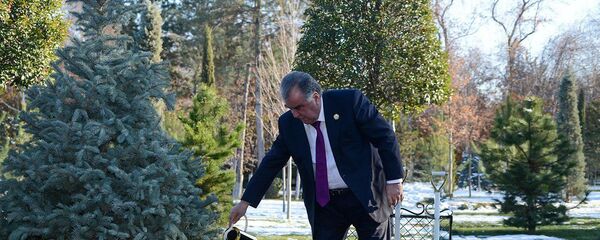Главы государств Центральной Азии высадили саженцы деревьев на Аллее почетных гостей в резиденции Куксарой Главы государств Центральной Азии высадили саженцы деревьев на Аллее почетных гостей в резиденции Куксарой - Sputnik Таджикистан