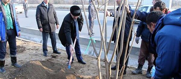 Дарахтшинонии Рустами Эмомалӣ - Sputnik Тоҷикистон