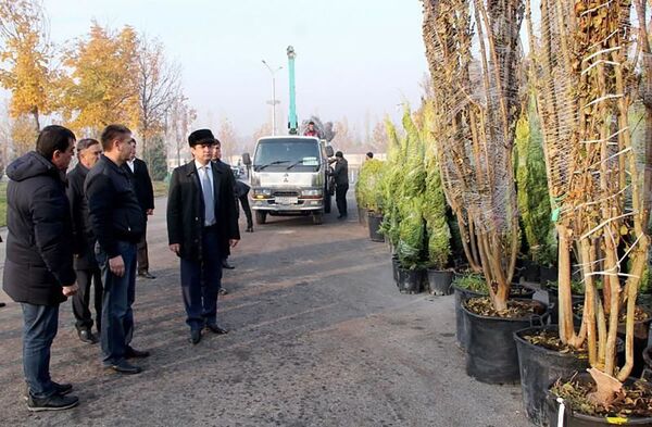 Рустам Эмомали принял участие в посадке деревьев в Душанбе Рустам Эмомали принял участие в посадке деревьев в Душанбе - Sputnik Таджикистан