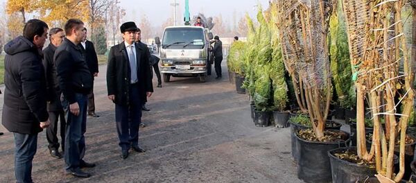 Рустам Эмомал принял участие в посадке деревьев - Sputnik Тоҷикистон