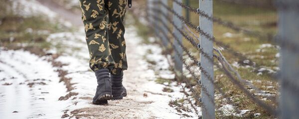 Пограничник. Архивное фото - Sputnik Тоҷикистон