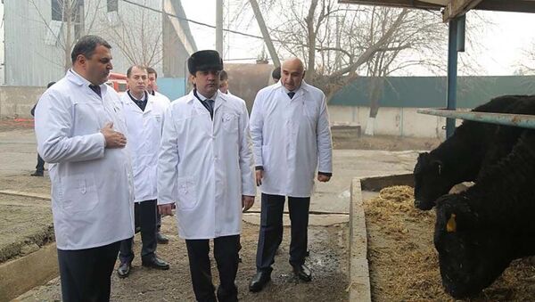 Рустам Эмомали посетил животноводческую ферму общества с ограниченной ответственностью Шири Нуробод - Sputnik Таджикистан