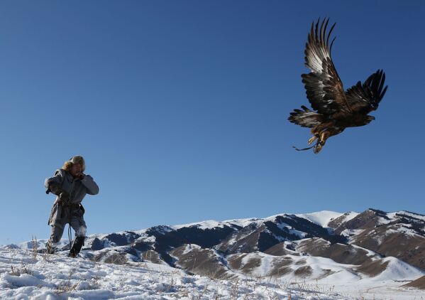 Охотник с беркутом во время охоты в Казахстане  - Sputnik Таджикистан