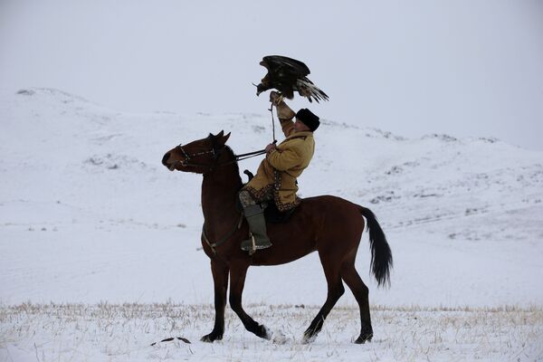 Охотник с беркутом на лошади во время охоты в Казахстане  - Sputnik Таджикистан