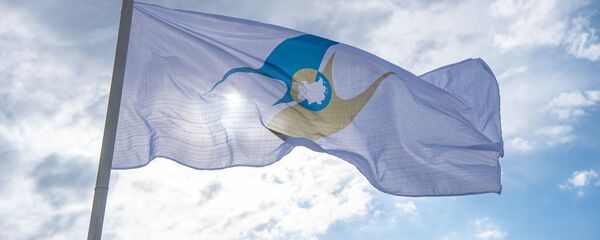 Флаг с символикой Евразийского экономического союза (ЕАЭС) - Sputnik Таджикистан